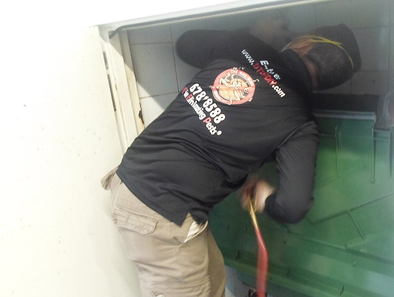 pest control chute inspection singapore