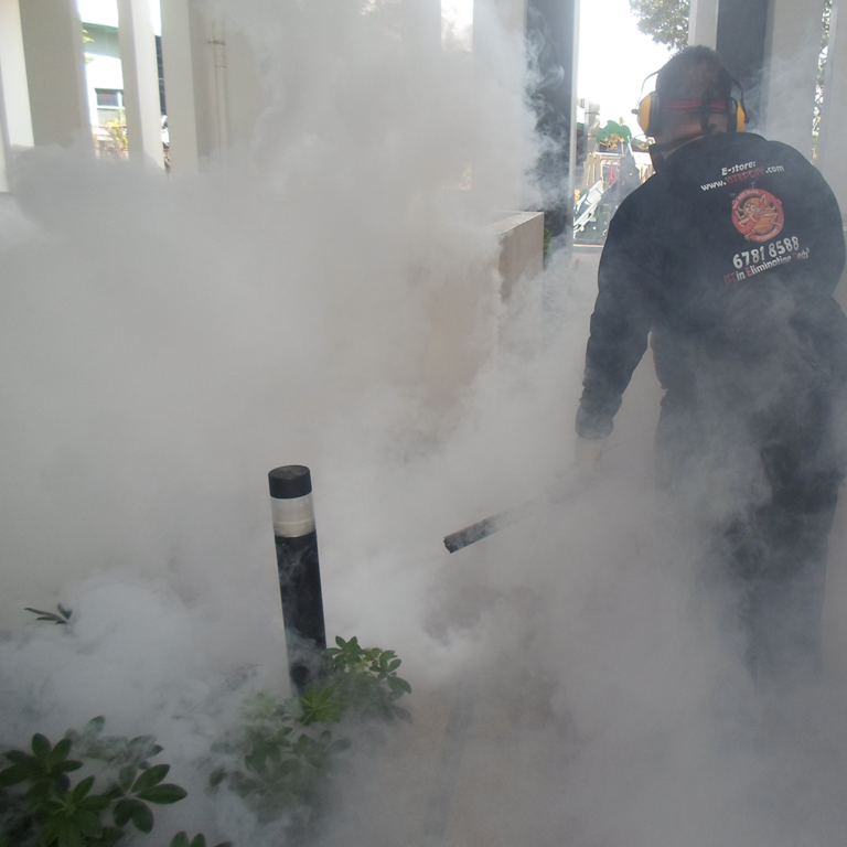 pest control fogging singapore