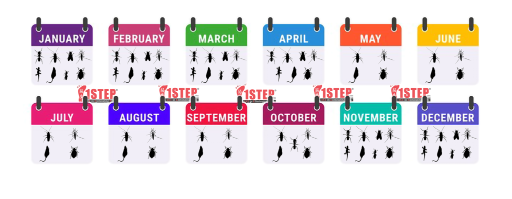 singapore pest activity season calendar